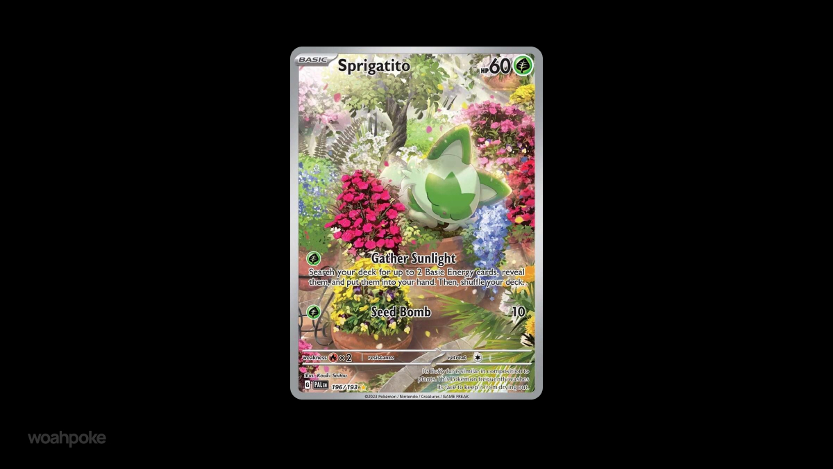 Sprigatito Sleeping Pokémon