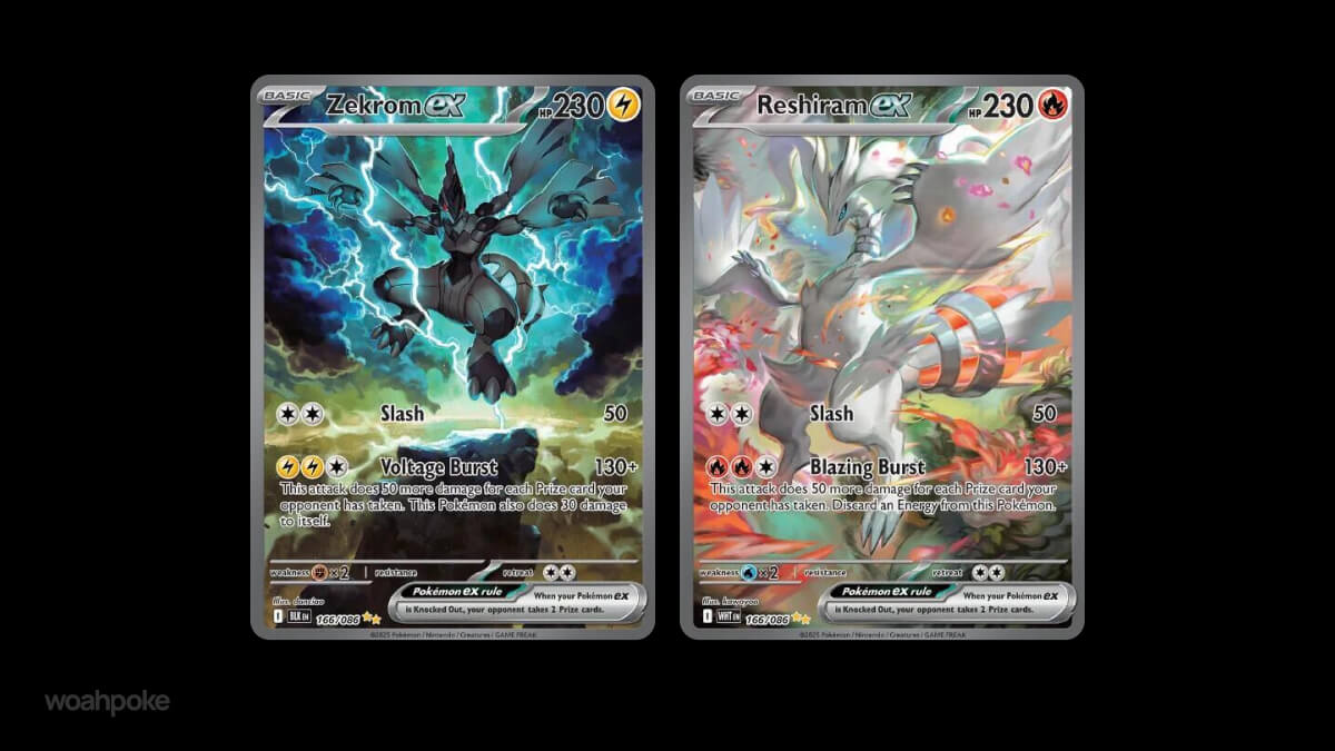 Zekrom & Reshiram Cards