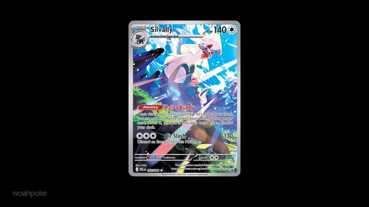 Silvally Chase Pitch Black