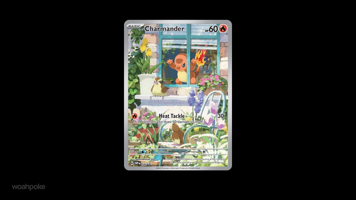 Funny Charmander Pokemon Card