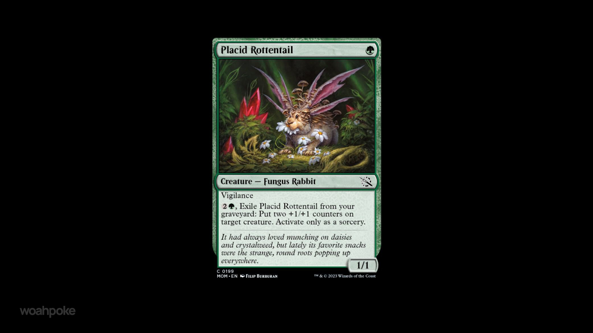 Placid Rottentail Card