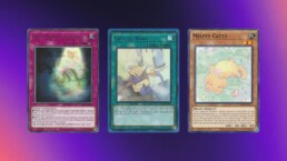Cute YuGiOh Cards