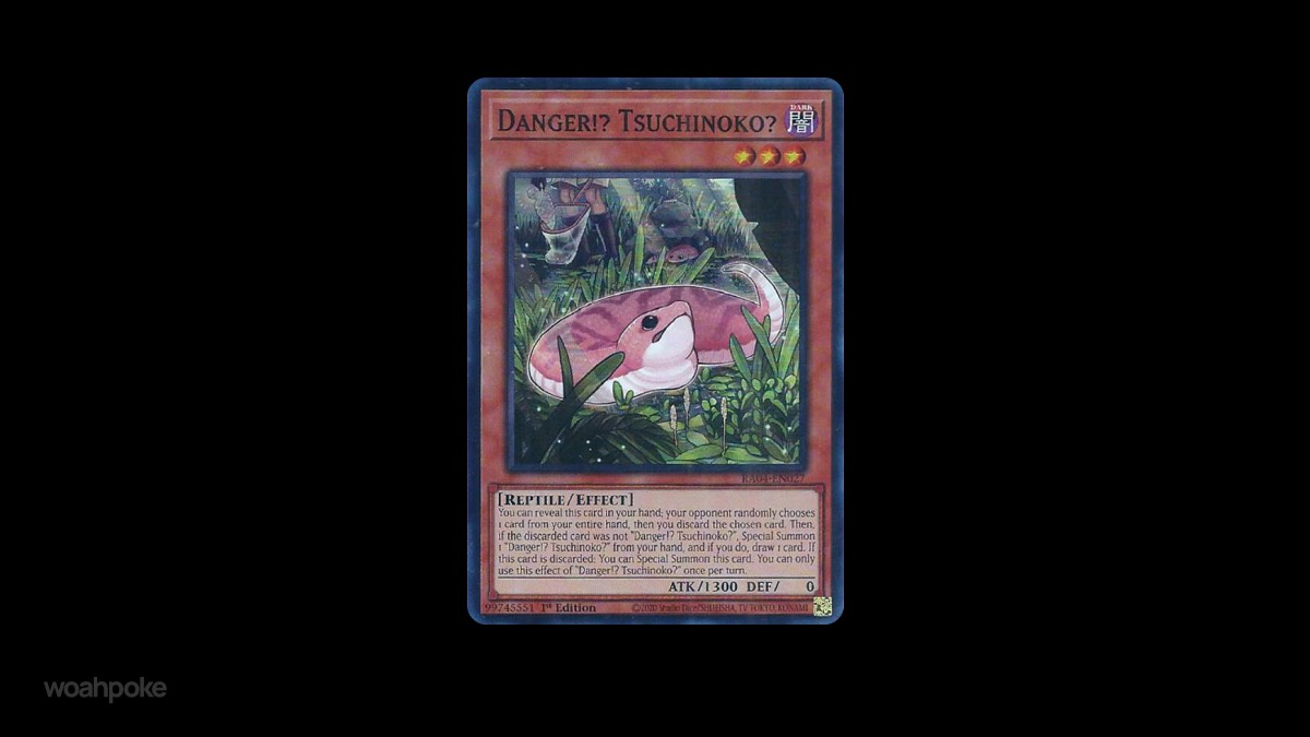 Danger!? Tsuchinoko? Cards
