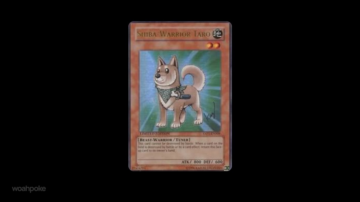 Shiba-Warrior Taro-Warrior Cute YuGiOh