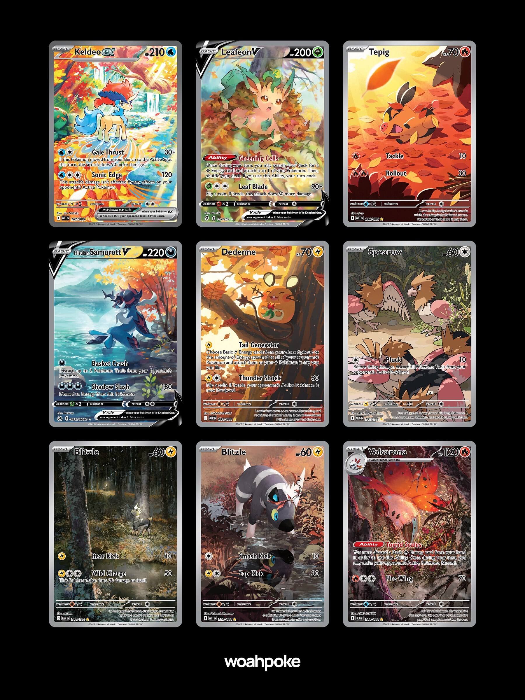 Autumn & Fall Forest Cards