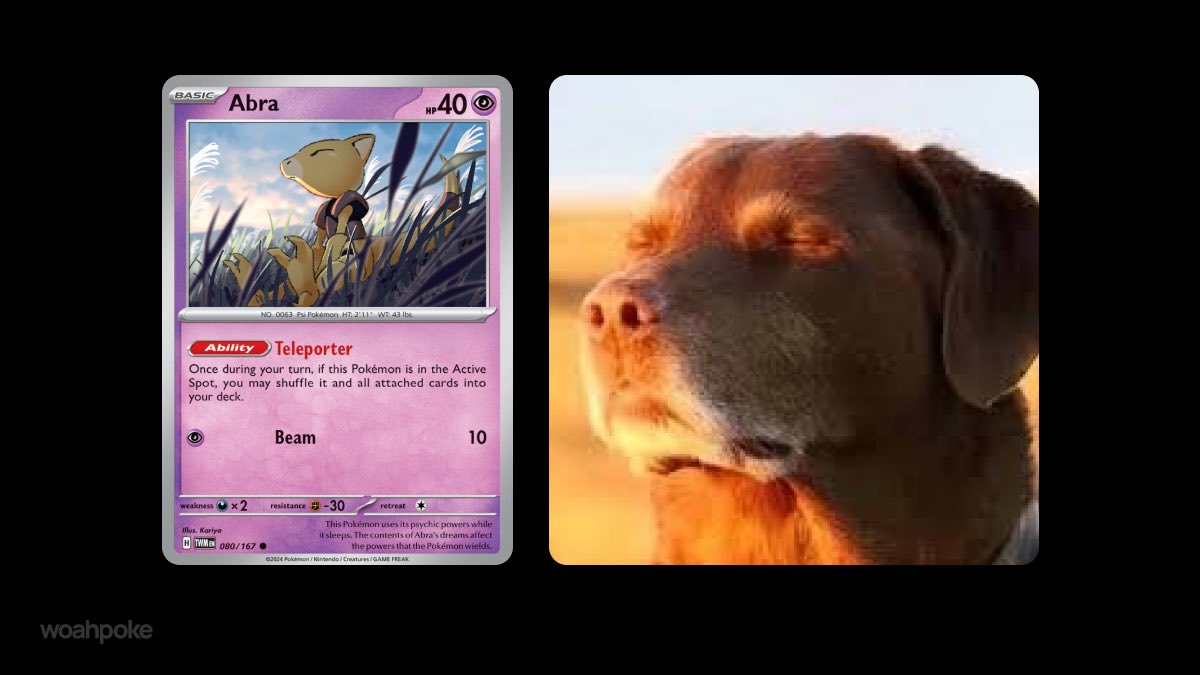 Abra & Relief Dog Meme Pokémon