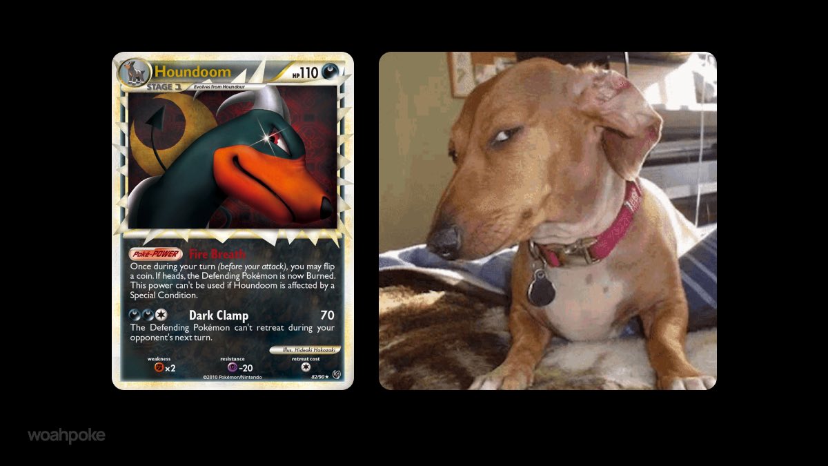 Houndoom & Side Eye Dog